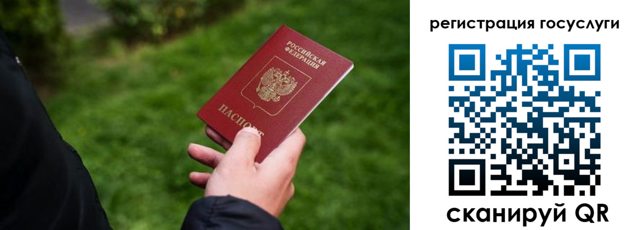 прописка в Заозёрном